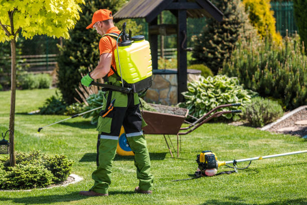 Lawn Pest Control in Lewisburg, OH